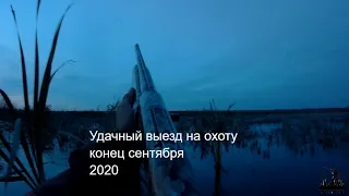 Удачный выезд на утку — охоту в конце сентября 2020