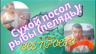 Сухой посол рыбы пелядь