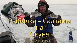 Зимняя рыбалка в палатке на окуня. Крутинский район озеро Салтаим (26-02-2021).