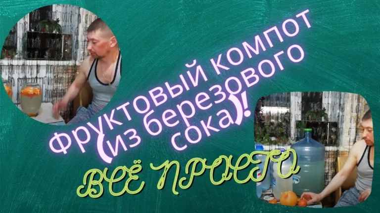 Фруктовый компот из березового сока