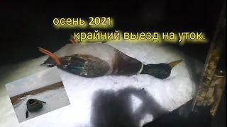 Охота на уток. Крайний выезд 2021 года.