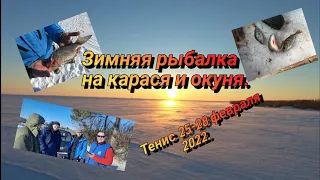 Зимняя рыбалка на карася и окуня. озеро Тенис. — 2022г